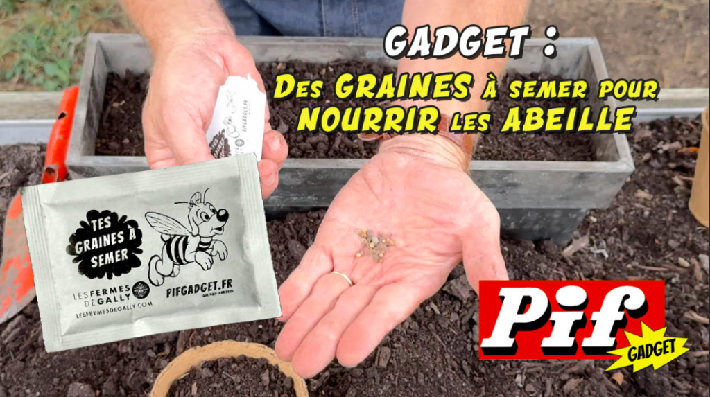 Des graines à semer pour nourrir les abeilles